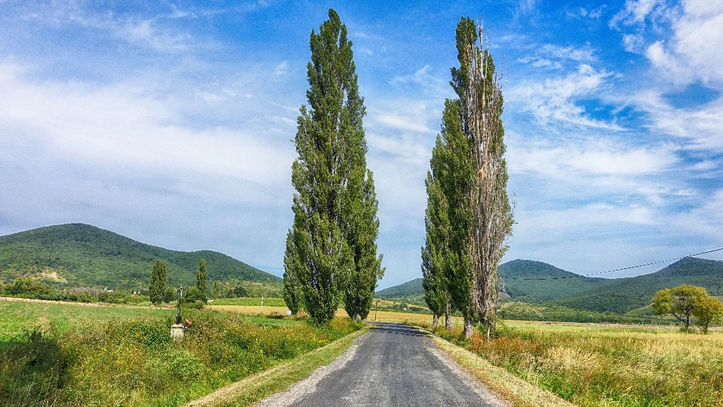 Ungheria strada campagna