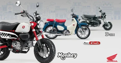 Honda Super Cub, Dax e Monkey